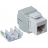 INTELLINET IWP-MD C6 / TLU - Keystone RJ45 UTP Cat6 white Connectors Onetrade INTELLINET IWP-MD C6 / TLU - Keystone RJ45 UTP Cat6 white Connectors Onetrade