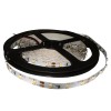 RP Ταινία Led - 14.4W/IP20/12V/Θερμό Λευκό/5μ Led Ταινίες