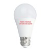 RP Lamp Led Α60 - AC-DC/10W/3000K/E27/12V/24V/42V/Warm Various LED Lamps