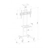 Techly ICA-TR23 - Βάση Τροχήλατη TV 37"-70" Βάσεις Onetrade