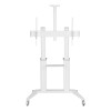 Techly ICA-TR49W - Floor Stand Trolley TV 70-120" with Shelf Mounts Onetrade Techly ICA-TR49W - Floor Stand Trolley TV 70-120" with Shelf Mounts Onetrade